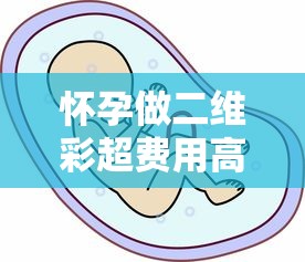 懷孕做二維彩超費用高？3個貸款方案解決產檢壓力
