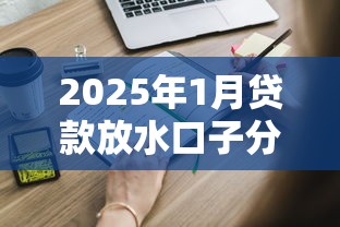 2025年1月貸款放水口子分析，這些新政策你得知道
