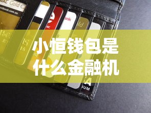 小恒錢包是什么金融機構？貸款服務靠譜嗎一文說清