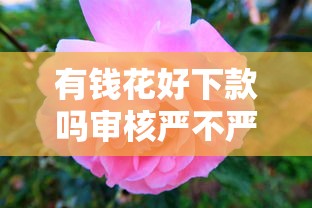 有錢花好下款嗎審核嚴不嚴？用戶實測+審核避坑攻略分享
