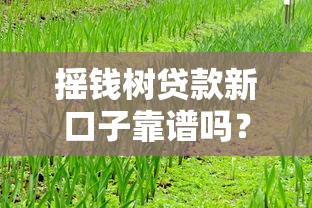 搖錢樹貸款新口子靠譜嗎？實(shí)測這幾點(diǎn)要注意