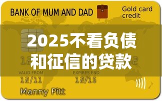 2025不看負(fù)債和征信的貸款靠譜嗎？真實(shí)體驗(yàn)告訴你答案