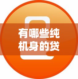 有哪些純機(jī)身的貸款口子？實(shí)測5家無抵押平臺