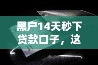 黑戶14天秒下貸款口子，這些辦法真的能解決難題嗎？