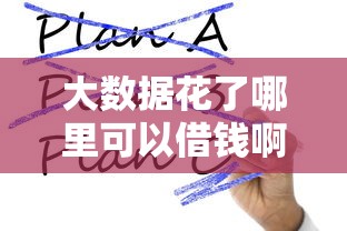 大數(shù)據(jù)花了哪里可以借錢啊2025？這幾個平臺還能用！