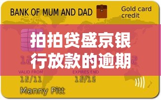 拍拍貸盛京銀行放款的逾期會上征信嗎答案來了！這些細節要懂