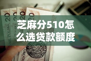 芝麻分510怎么選貸款額度？額度計算全攻略