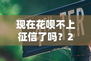 現在花唄不上征信了嗎？2024最新政策解讀+真實使用避坑指南