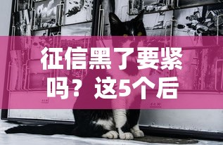哪個(gè)網(wǎng)貸不看征信下款快隨借還的？這幾個(gè)平臺(tái)或許能幫你