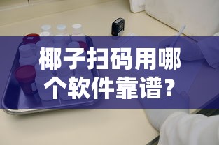 椰子掃碼用哪個軟件靠譜？這些正規貸款平臺審核快門檻低