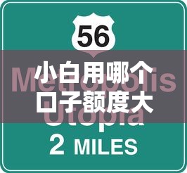 小白用哪個口子額度大？新手必看的低門檻高額度平臺推薦