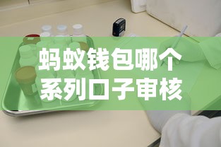 大王錢柜在哪個口子靠譜？最新入口整理及申請避坑指南