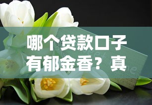 哪個貸款口子有郁金香？真實測評+避坑指南