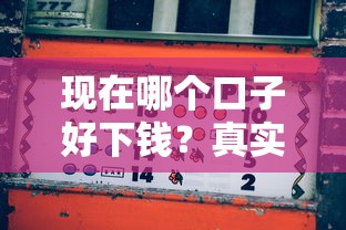 現在哪個口子好下錢？真實測評+5個靠譜平臺實測對比