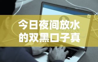 今日夜間放水的雙黑口子真實評測：低門檻秒到賬平臺實測