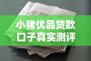 小豬優(yōu)品貸款口子真實(shí)測(cè)評(píng)！資質(zhì)要求+下款流程全解析