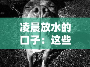 凌晨放水的口子：這些細節你知道嗎？