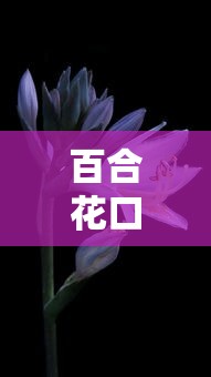 什么口子好下款2萬？試試這幾個平臺（附真實體驗分享）