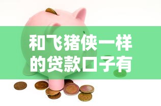 和飛豬俠一樣的貸款口子有哪些？這3個平臺值得一試