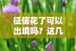 良心口子利息低有哪些？這6個正規渠道親測靠譜