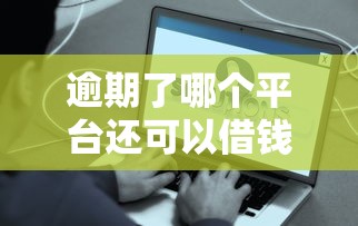 小云豹系列口子哪個好？深度測評5款真實用戶反饋