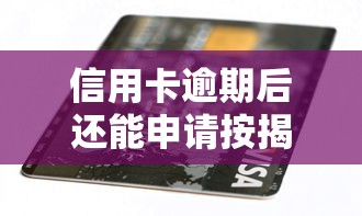 信用卡逾期后還能申請按揭購車嗎？真實情況揭秘