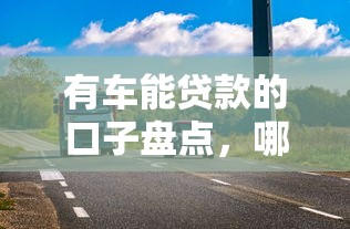 有車能貸款的口子盤點，哪些平臺審核快、額度高？