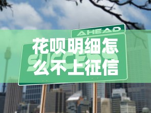 花唄明細怎么不上征信？原來如此！