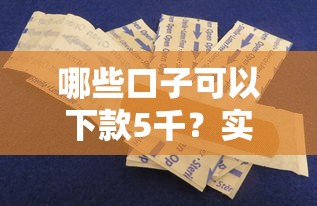 哪些口子可以下款5千？實測這幾個平臺真的能到賬