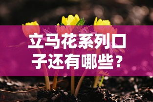 立馬花系列口子還有哪些？這幾個(gè)平臺(tái)審核快、門檻低