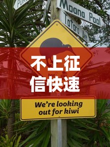 不上征信快速下款平臺？這5個低門檻渠道或許適合你