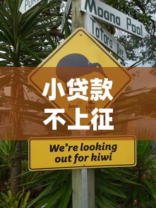 小貸款不上征信嗎？這幾點必須了解！
