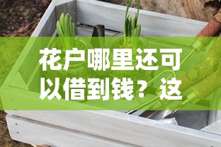 花戶哪里還可以借到錢？這幾個渠道你可能沒試過