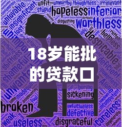 18歲能批的貸款口子，有沒有適合學生黨的正規平臺？