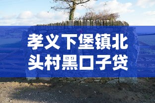 孝義下堡鎮北頭村黑口子貸款怎么選？3個低息方案測評