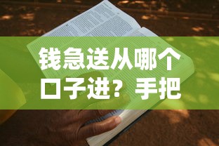 錢急送從哪個口子進？手把手教你快速申請流程