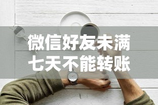 微信好友未滿七天不能轉賬嗎為什么？附小額貸款平臺推薦