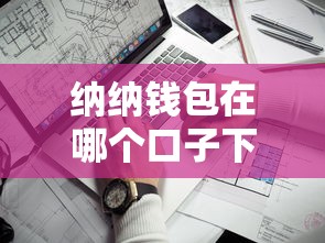 納納錢包在哪個(gè)口子下？這幾個(gè)靠譜渠道實(shí)測(cè)有效