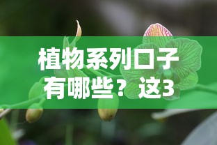 植物系列口子有哪些？這3類產品最值得關注