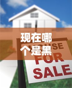 現在哪個是黑戶口子？揭秘低門檻貸款真相
