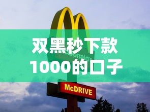 雙黑秒下款1000的口子靠譜嗎？實測這3個平臺放款快