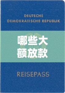 哪些大額放款口子靠譜？這8個平臺額度高、審核快