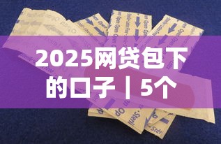 2025網貸包下的口子｜5個容易下款的平臺實測