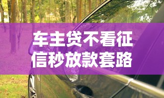 車主貸不看征信秒放款套路解析及避坑指南