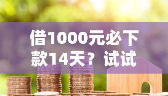借1000元必下款14天？試試看這幾個辦法，這些細節(jié)要注意！