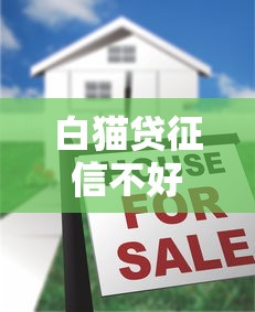 白貓貸征信不好能通過嗎？真實審核機制揭秘