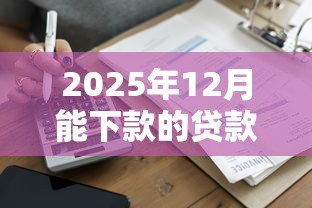 2025年12月能下款的貸款渠道分析！資質要求全解讀