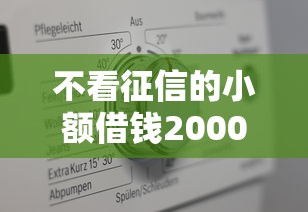 不看征信的小額借錢2000元必下款嗎？真實情況解析