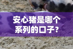 安心豬是哪個系列的口子？真實用戶經驗+避坑指南來了