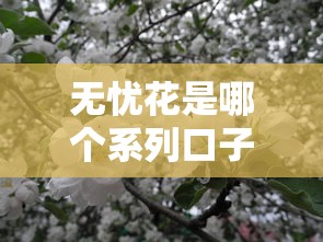 無憂花是哪個系列口子？這幾個平臺用過的都說靠譜